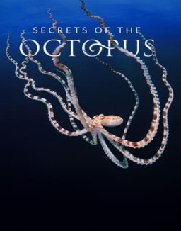 Secrets of the Octopus online gratis